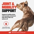 thumbnail image 3 of Bully Max Omega 3 Salmon Oil Blend, 18 fl. oz bottle, 3 of 10