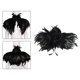 thumbnail image 2 of Chal de plumas para hombros, estola tipo capa, Poncho para niñas, elegante capa de plumas, chal de plumas para fiesta de carnaval, Cosplay Yuyangstore capa de chal de mujer, 2 of 8