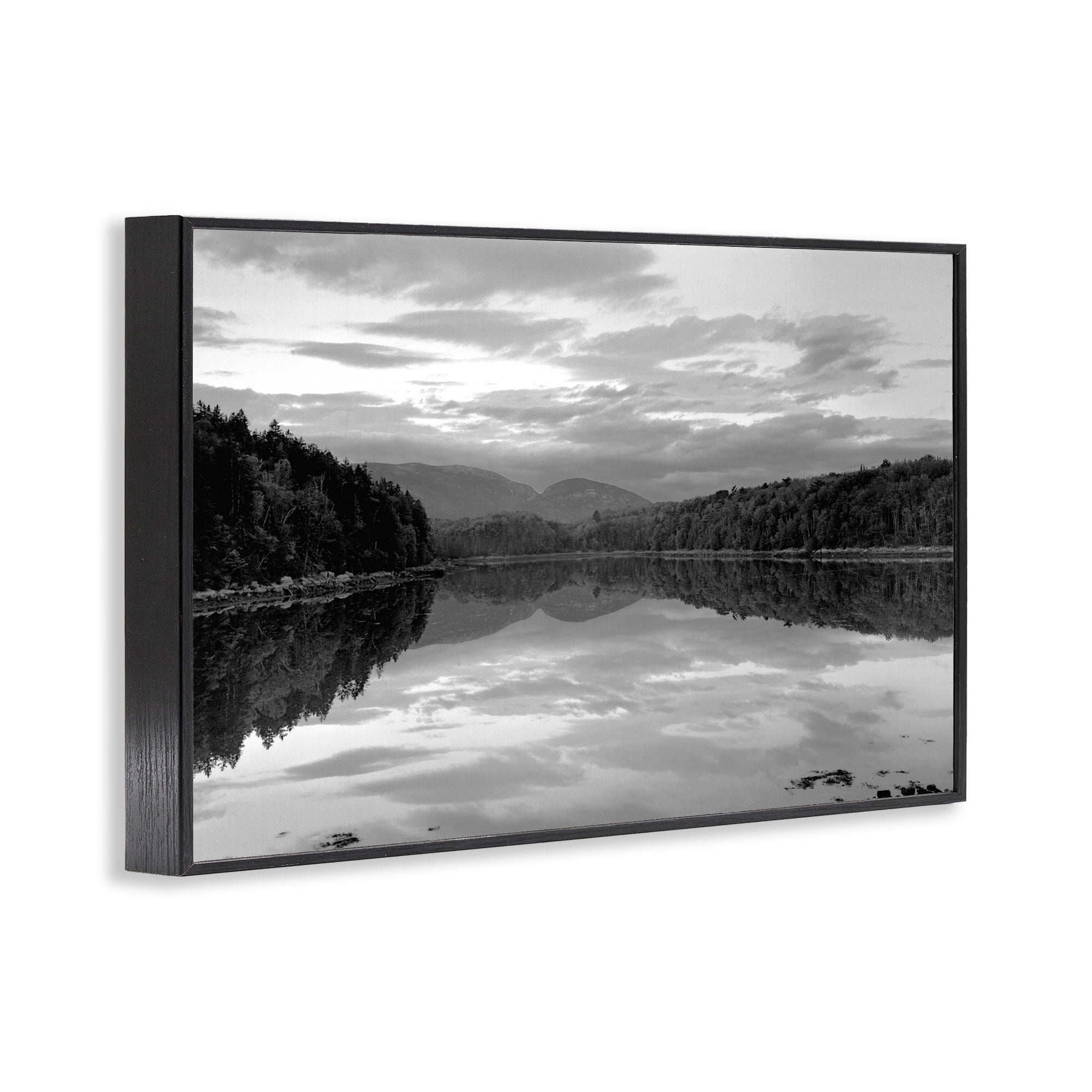 Stupell Industries Acadia Reflection in Monochrome Black Framed Giclee Art, design by MJ Photography