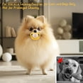 thumbnail image 3 of Monebena Dog Pacifiers for Small Dogs 3 PCS, Kitten Pacifiers, Puppy Teething Toys and Cat Chew Toys, Essential Pet Supplies, Puppy Essentials and Kitten Supplies, 3 of 6