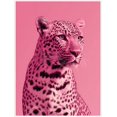 thumbnail image 1 of Qisvanset Pink Leopard Print Canvas Wall Art 15.75x11.81 Inches, 1 of 8