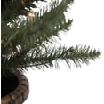 thumbnail image 4 of Northlight 2ct Prelit Artificial Christmas Tree Potted Porch Pine Topiary - Clear Lights, 4 of 6