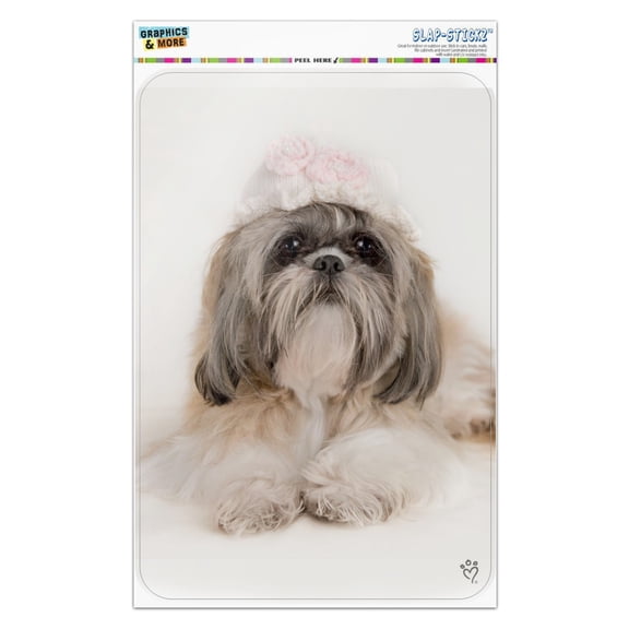 Shih Tzu Dog Precious Knit Hat Home Business Office Sign