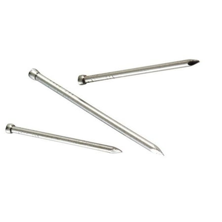 

Swan Secure T8FN1 Stainless Steel Finish Nail 2.5 in.