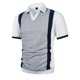 thumbnail image 4 of Ceisia Men's Polo Shirt | Slim Fit Short Sleeve Color Block Patchwork Stripe Polo | Breathable Wrinkle-resistant (Multiple Combinations) Gift, 4 of 7
