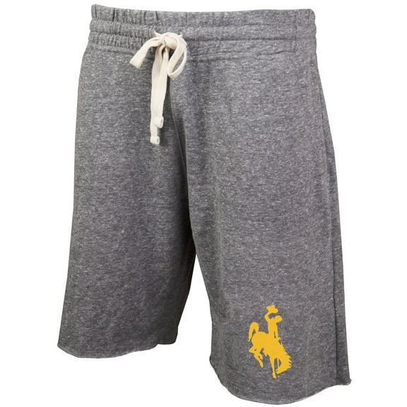 Men's Concepts Sport Gray Wyoming Cowboys Mainstream Terry Shorts