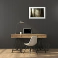 thumbnail image 3 of Podt, Martin 24x17 White Modern Wood Framed Museum Art Print Titled - Natural Beauty, 3 of 4