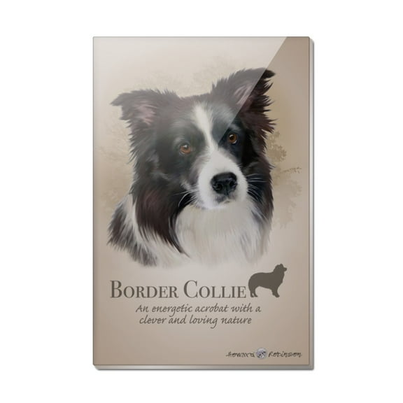 Border Collie Dog Breed Rectangle Acrylic Fridge Refrigerator Magnet