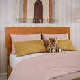thumbnail image 1 of Pemberly Row Twin Modern Solid Wood Panel Headboard in Light Toffee, 1 of 10