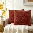thumbnail image 2 of Mainstays 18" x 18" Orange Carved Faux Fur Pumpkin Decorative Pillows (2 Count), 2 of 5