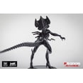 thumbnail image 3 of Alien vs Predator: Alien Queen, 3 of 3