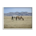 thumbnail image 3 of Stupell Industries Wild Horses Grazing Tall Grass Mountain Countryside Landscape, 30 x 24, Design by Daniel Sproul, 3 of 5
