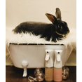 Calm Bunny USDA Certified Organic Bunny No Rinse Shampoo