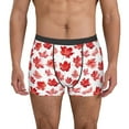 thumbnail image 1 of Fotbe Realistic Maple Leaf Calzoncillos Tipo Boxer con Bolsa de Soporte Total para Hombre, X-Temp Fresco, Transpirable y de Secado Rápido-Medium, 1 of 5