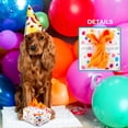 thumbnail image 6 of Haute Diggity Dog Birthday Collection – Soft Plush Celebration Dog Toys with Squeaker and Fun, Colorful, Unique Parody Designs Made from Safe, Machine-Washable Materials for All Dog Breeds & Sizes, 6 of 6
