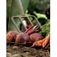 thumbnail image 6 of Chickity Doo Doo 2-4-3 Plant Food Fertilizer, 1 lb Shaker Box, 120 Square feet, 6 of 6