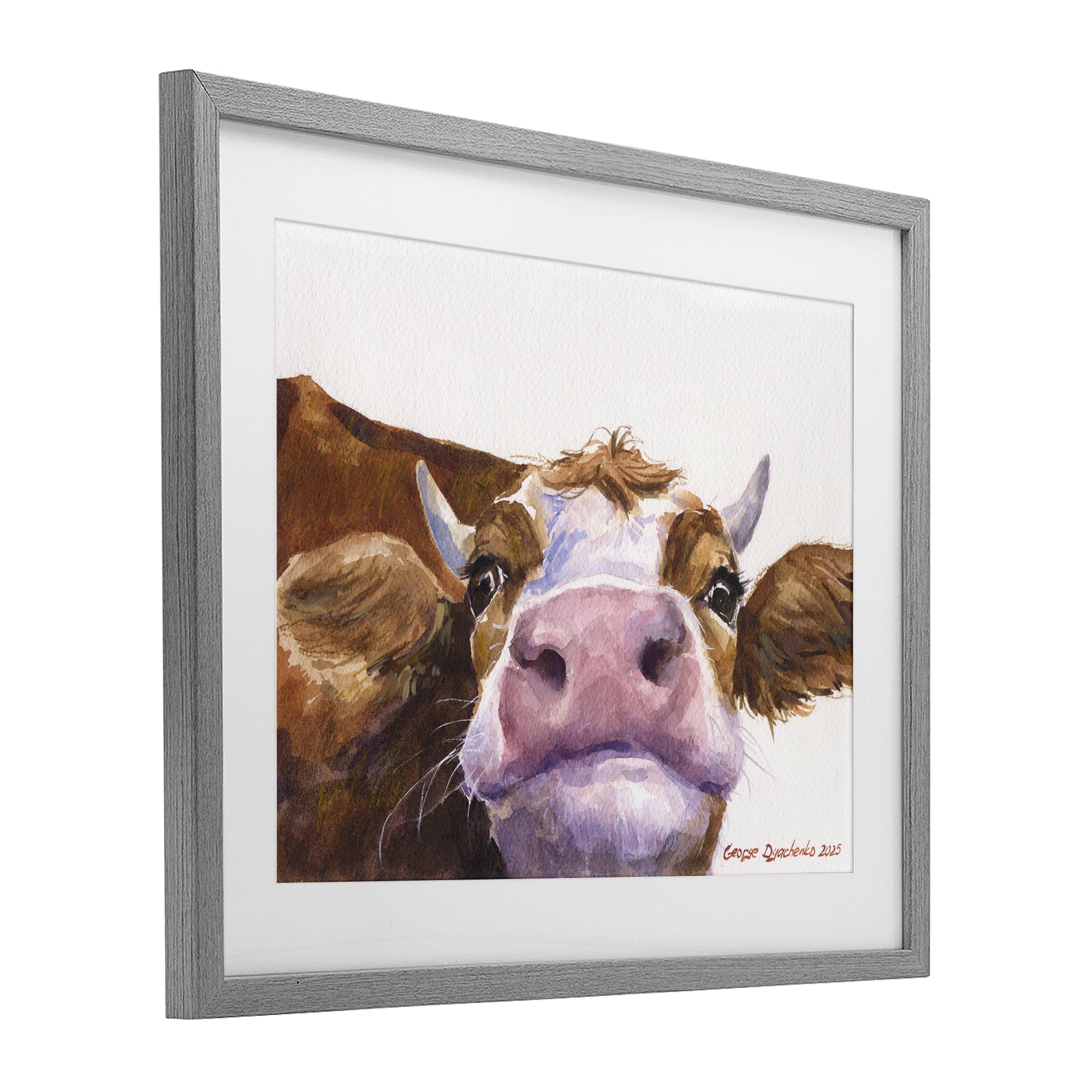 Stupell Industries Cute Cow Close Up Gray Framed Print Under Glass, design by George Dyachenko