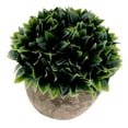 thumbnail image 1 of Pintura en aerosol Melaleuca artificial Bonsai Planta en maceta realista Blanco, 1 of 9
