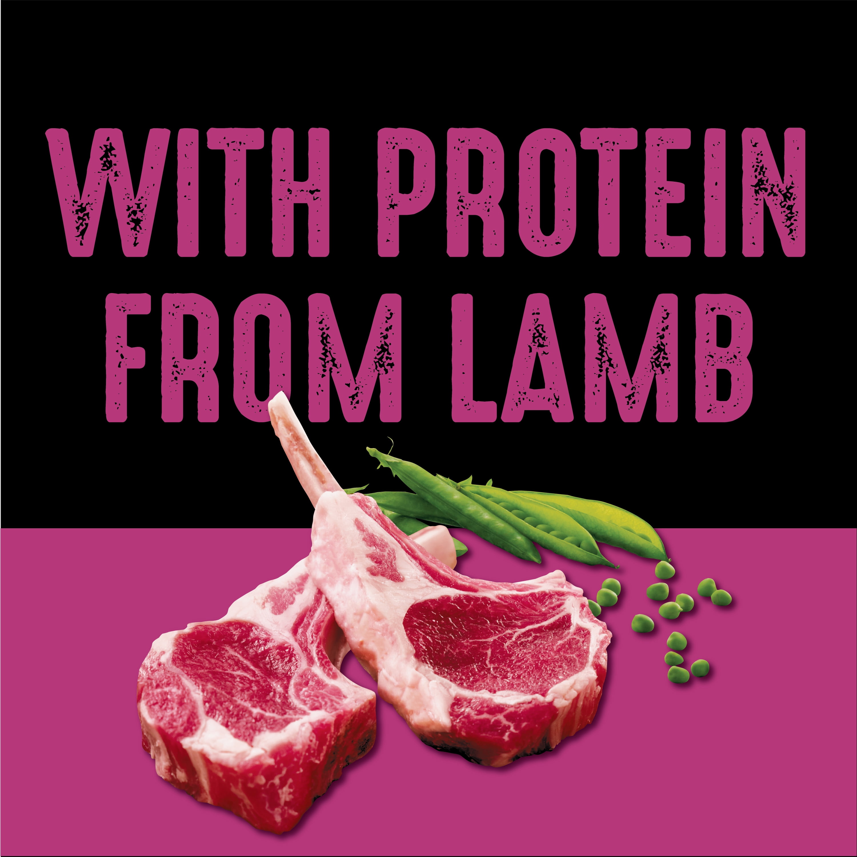 crave lamb and venison dog food