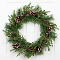 Northlight Mixed Birch and Cedar Iced Pinecone Artificial Christmas Wreath - 28" - Unlit