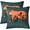 Multi 02, variant on Cute Bear Throw Pillow Covers 16"x16" Set of 2 Soft Wild Animal Pattern Throw Pillowcases Nature Wildlife Bear Pillow Cases Cushion Covers Western Farmhouse Orange Grey Cushion Cases