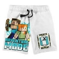 thumbnail image 4 of Minecraft Adventure Mode Boy's Short Sleeve Shirt & Lounge Shorts Combo Set-XXL, 4 of 7