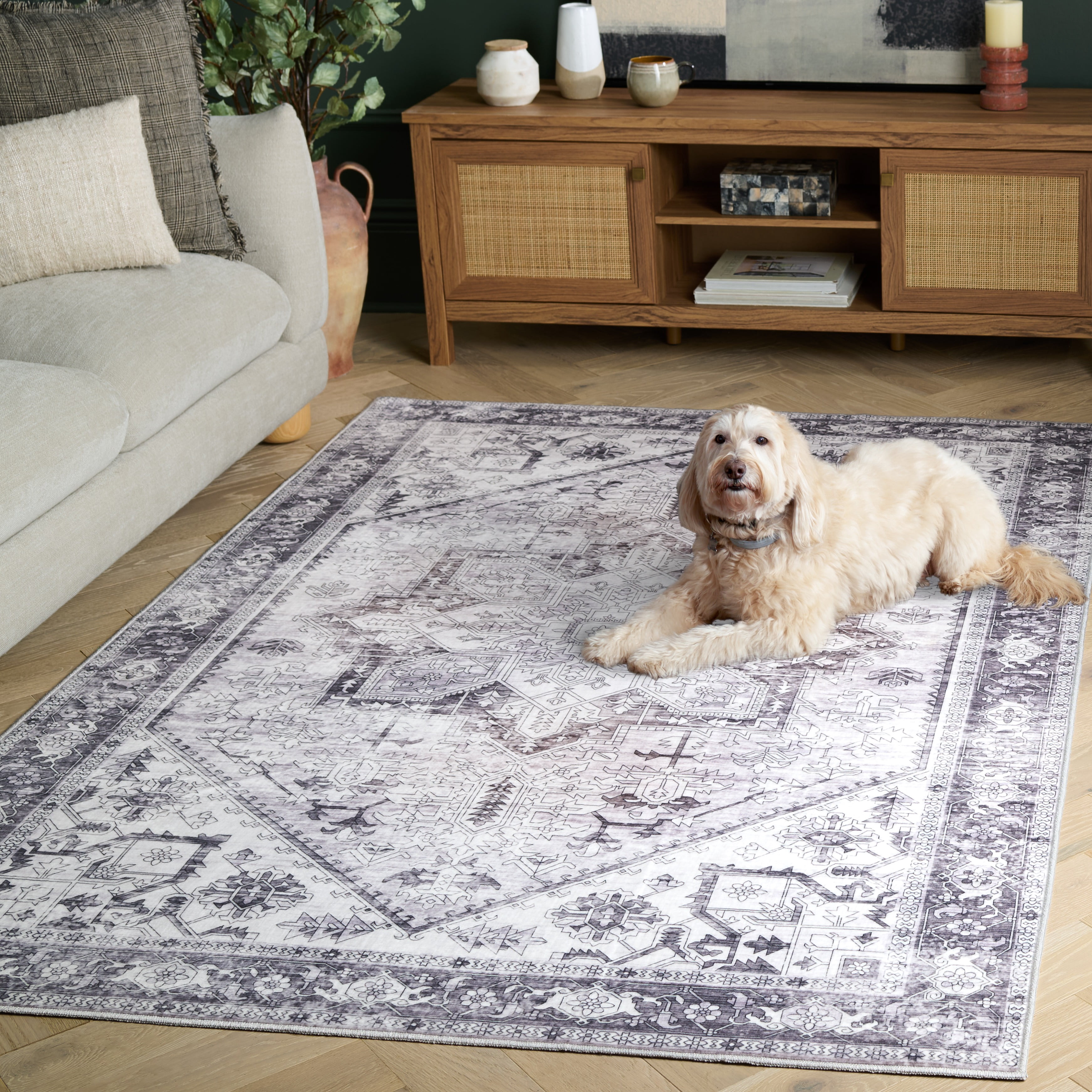 SAFAVIEH Arizona Rhine Oriental Machine Washable Area Rug, Beige/Gray, 5' x 7'