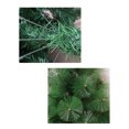 thumbnail image 4 of Artificial Christmas Tree, 3 Ft Advanced Hinged Design, Dense Branches Realistic Holiday Decor​ Easy Assembly for Tabletop,Home, Office, Indoor and Outdoor, 4 of 9
