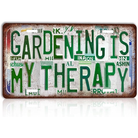 Vintage License plate Where Words Fail Music Speaks Wall Decor Metal Sign Tin Signs for Bar Home Bedroom Garage