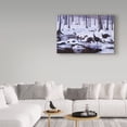 thumbnail image 3 of Trademark Fine Art 'Hardwood Creek Wild Turkeys' Canvas Art by Wilhelm Goebel, 3 of 3