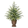 My Texas House 2' Small Pre-Lit Norfolk Pine Green Artificial Christmas Tree with 30 Warm White Twinkle LED Lights in Woven Basket