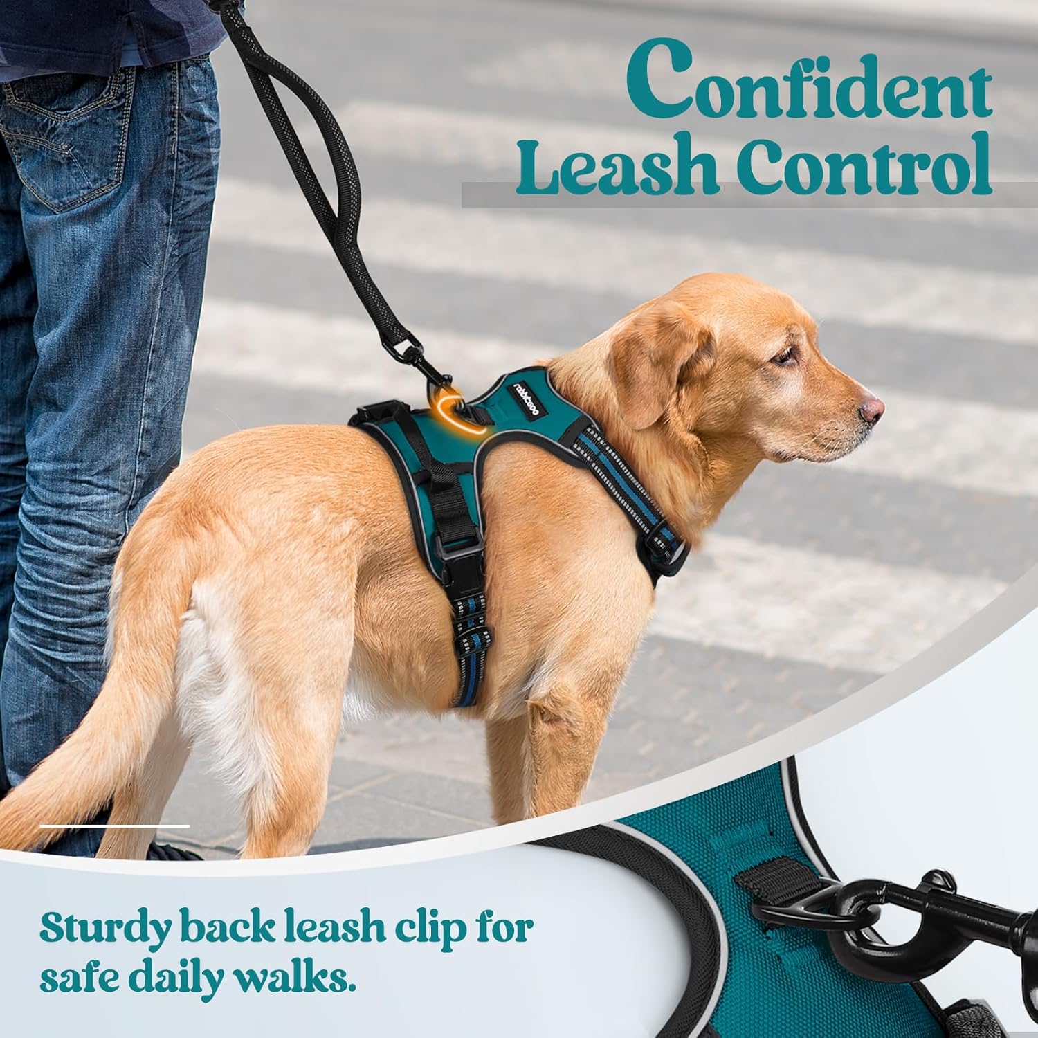 Rabbitgoo Small Dog Harness No Pull, Blue Coral photo 6
