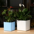 thumbnail image 4 of Pot à Fleurs Irrigation Automatique d'Absorption d'Eau avec Récipient d'Eau pour Plante Verte Succulente, 4 of 7