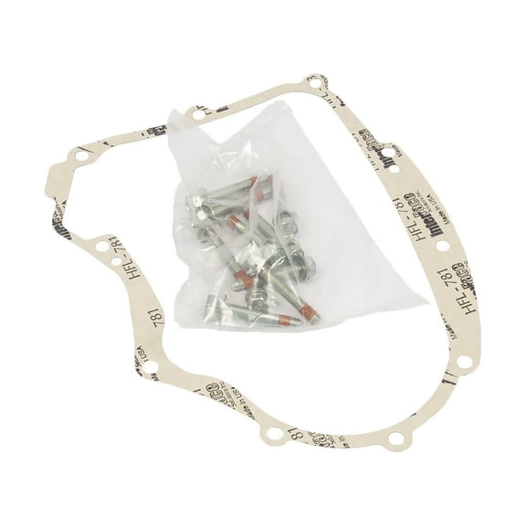 594195 Crankcase Gasket Kit