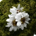 thumbnail image 2 of 15 in. Easter Wreath with 2 Rabbits in Center, 2 of 2