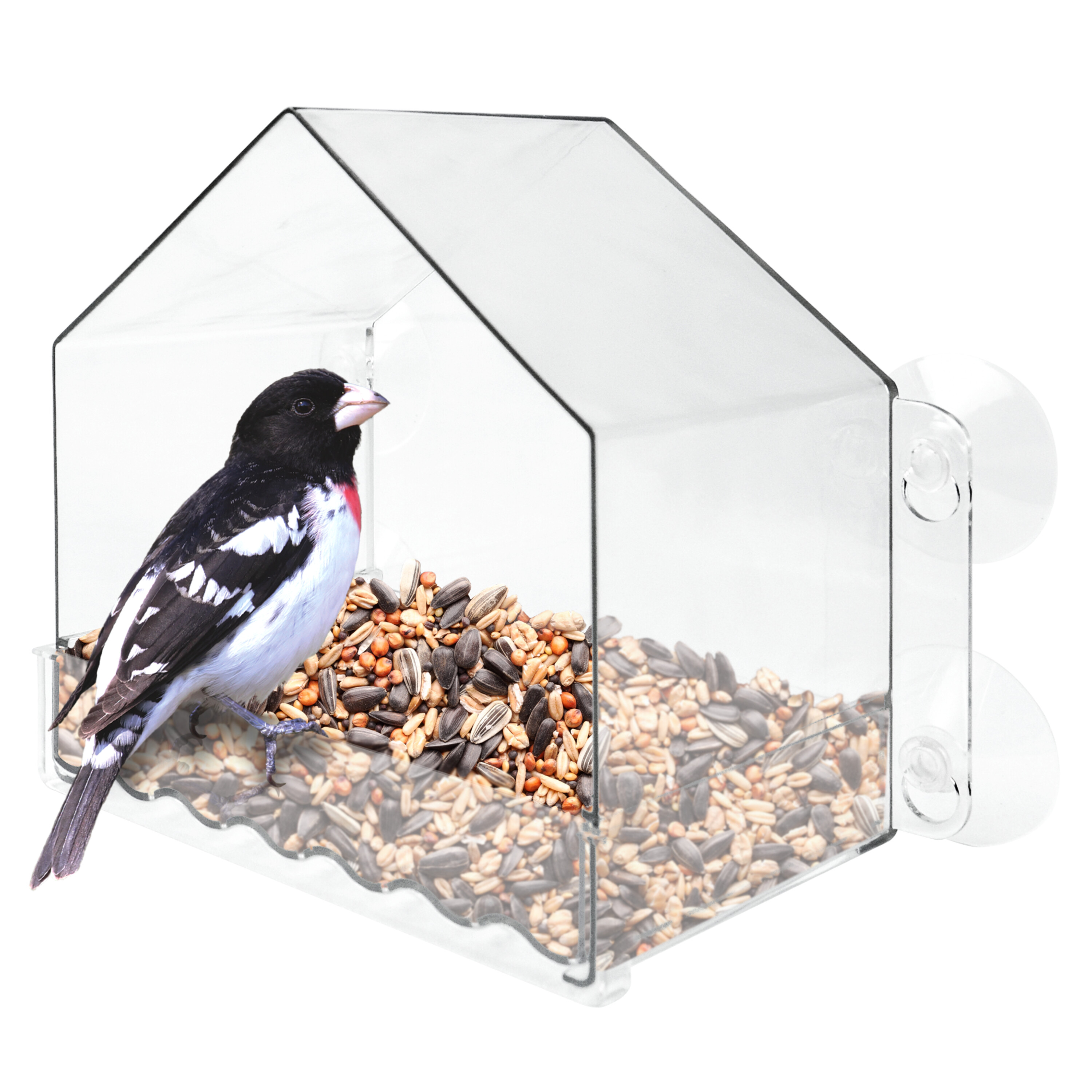 Nature's Way Clear View Window Bird Feeder, 2-Cup photo 2