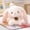 White, variant on Plush Rabbit Doll, Soft Stuffed Animal Toy with Embroidered Details, Cuddly Bunny Gift for Kids Toddlers,Red
