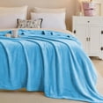 thumbnail image 3 of IR Imperial Rooms Adult Fleece Bed Blanket 310 GSM Microfiber Lightweight Warm Fluffy Cozy Plush Sky Blue Queen Size, 3 of 13
