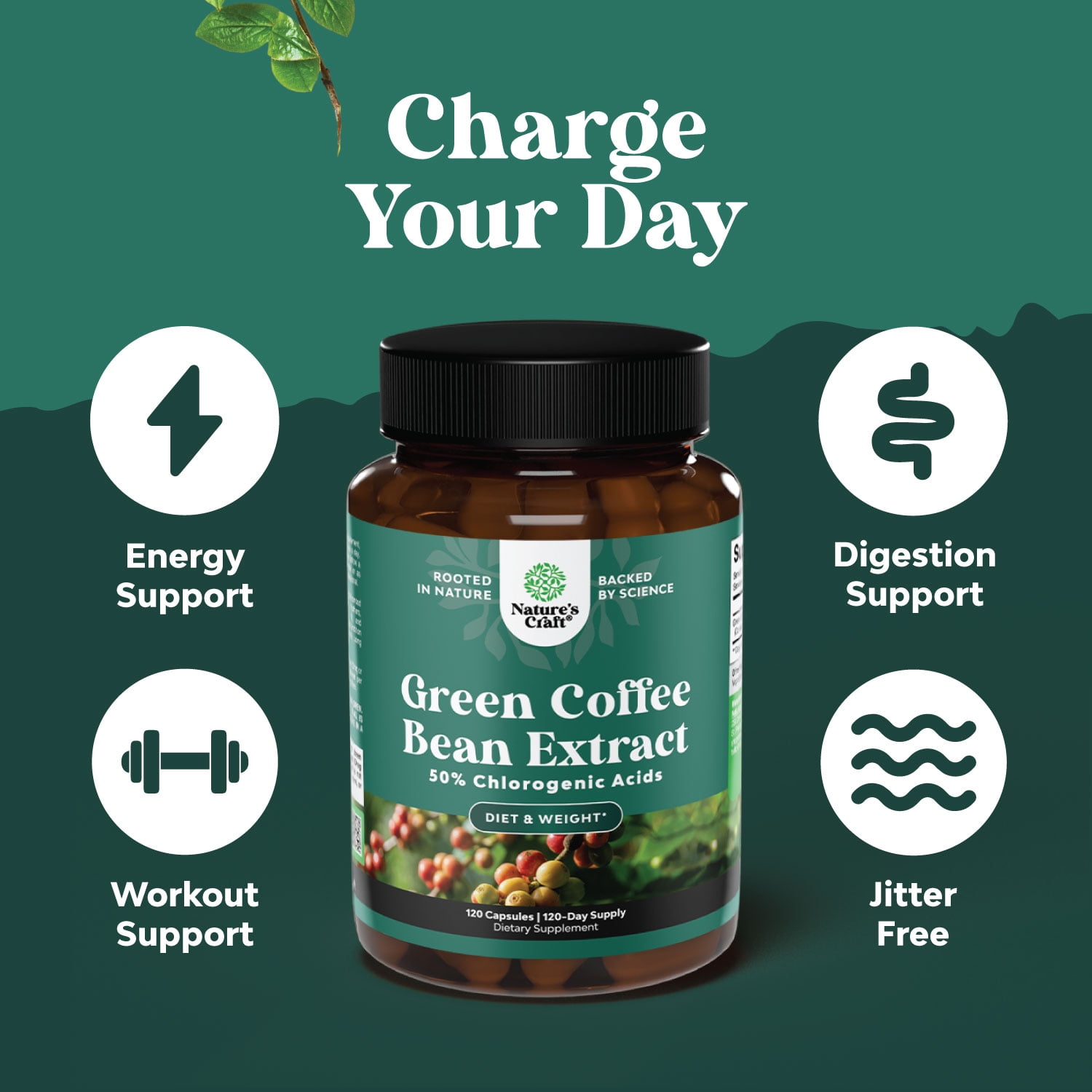 Natures Craft Green Coffee Bean Extract with Chlorogenic Acids, Weight Loss Supplement, 120 Capsules