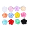thumbnail image 3 of Raindrops 50pcs Resin Flower Charms Flatback Rose Assorted Colors for Jewelry Making Necklace, 3 of 8