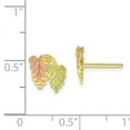 thumbnail image 5 of Primal Gold 10 Karat Yellow Gold with Green and Rose Gold-plated Black Hills Post Earrings, 5 of 7