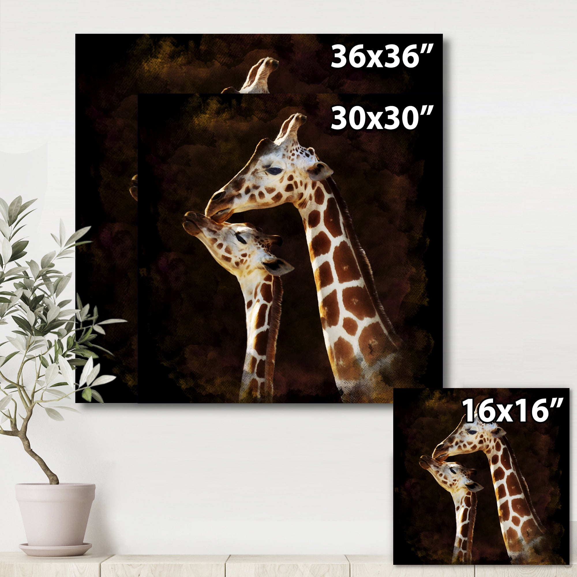 Designart ' Close UP Of Two Giraffes Kissing I ' Farmhouse Canvas Wall Art Print