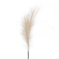 thumbnail image 3 of CreativeArrowy Artificial Long Branch Reed Simulation Bouquet PE Home Decoration Wedding Korean Pastoral Faux Pampas Grass Large, 3 of 23