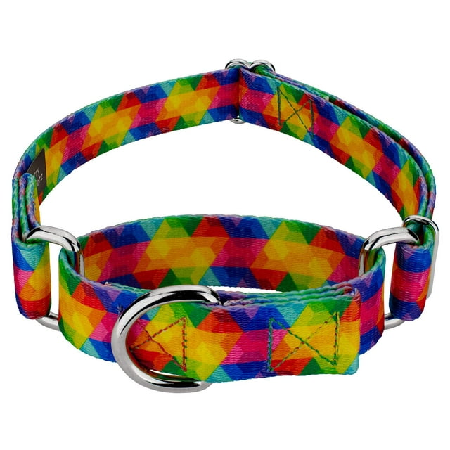 Country Brook Petz - Kaleidoscope Martingale Dog Collar - Groovy Collection Featuring Far Out Designs (1 Inch, Medium)