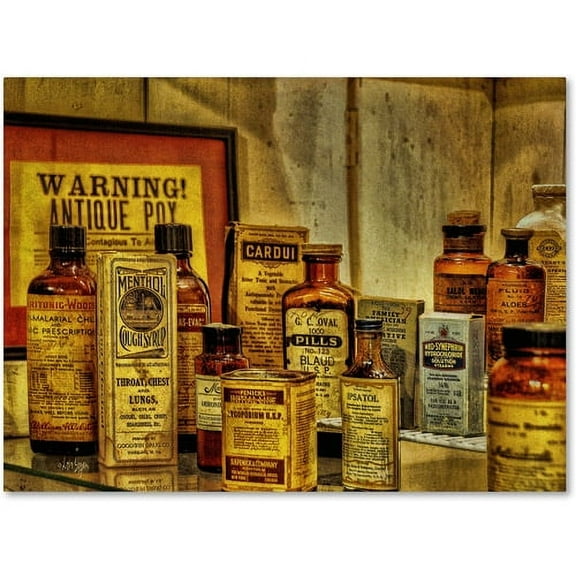 Trademark Fine Art Still Life Canvas Art ' Vintage Medicines ' by Lois Bryan