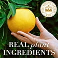 thumbnail image 4 of Herbal Essences Bio:renew Volumizing Conditioner White Grapefruit & Mint 13.5 fl oz *EN, 4 of 5