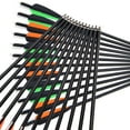 thumbnail image 4 of YouLoveIt 12pcs Carbon Crossbow Bolt Set Hunting Carbon Arrows Carbon Crossbow Arrows 20 inches Carbon Crossbow Bolt Arrows for Competition Practice Hunting, 4 of 4