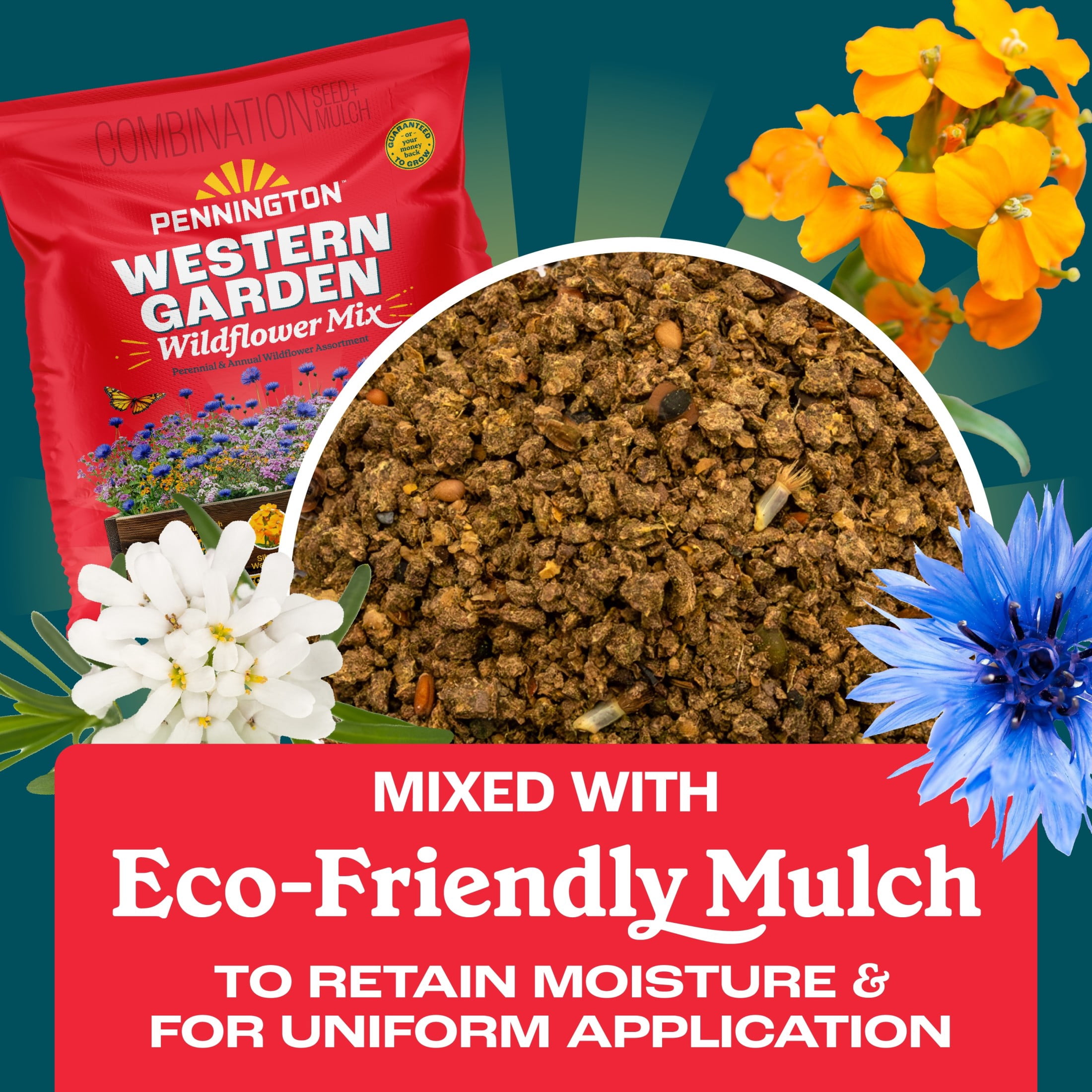 Pennington Wildflower Seed Mix, Western Garden Blend, Annual and Perennial, 32 oz