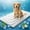 Gray, variant on Cooling Mat for Dogs, 48"x28" Self-Cooling Dog Bed with Arc-Chill Technology 3.0, Non-Slip Washable Pet Cooling Pad for Small & Medium Dogs, Indoor Outdoor Kennel Floor Use