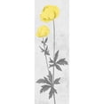 thumbnail image 3 of Prime, Marcus 9x18 Black Modern Framed Museum Art Print Titled - Shinning Bloom, 3 of 5